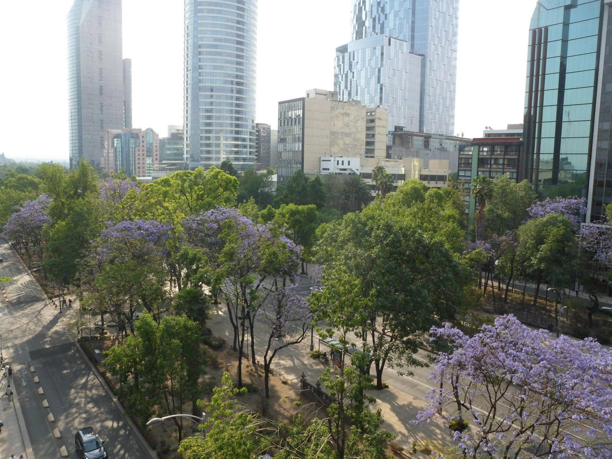 Suites Capri Reforma Angel 380 Ciudad de México Exteriér fotografie